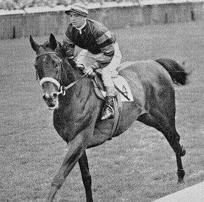 Inaugural winner: Wilwyn, trained in Britain by John Waugh and ridden by Manny Mercer, won the first Washington DC International