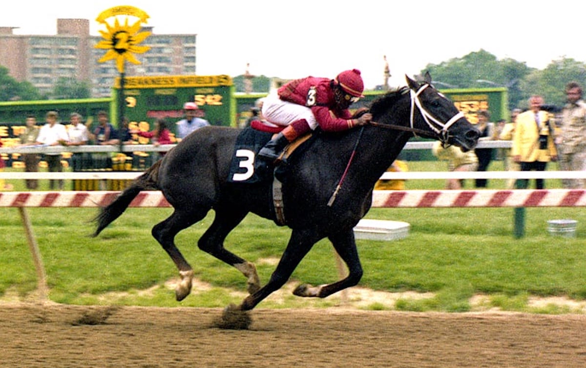 Codex becomes D Wayne Lukas’s first Classic winner in the 1980 Preakness; he was Tartan-owned and -bred. Photo: Maryland Jockey Club