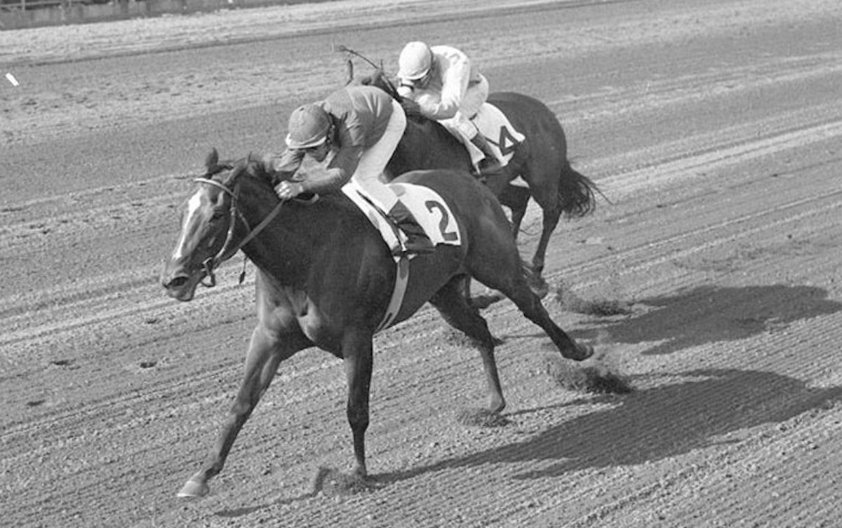 Ta Wee (Eddie Belmonte) wins the 1969 Test Stakes at Saratoga; the champion filly was trained by John Nerud for the first half of her career. Photo: Coglianese