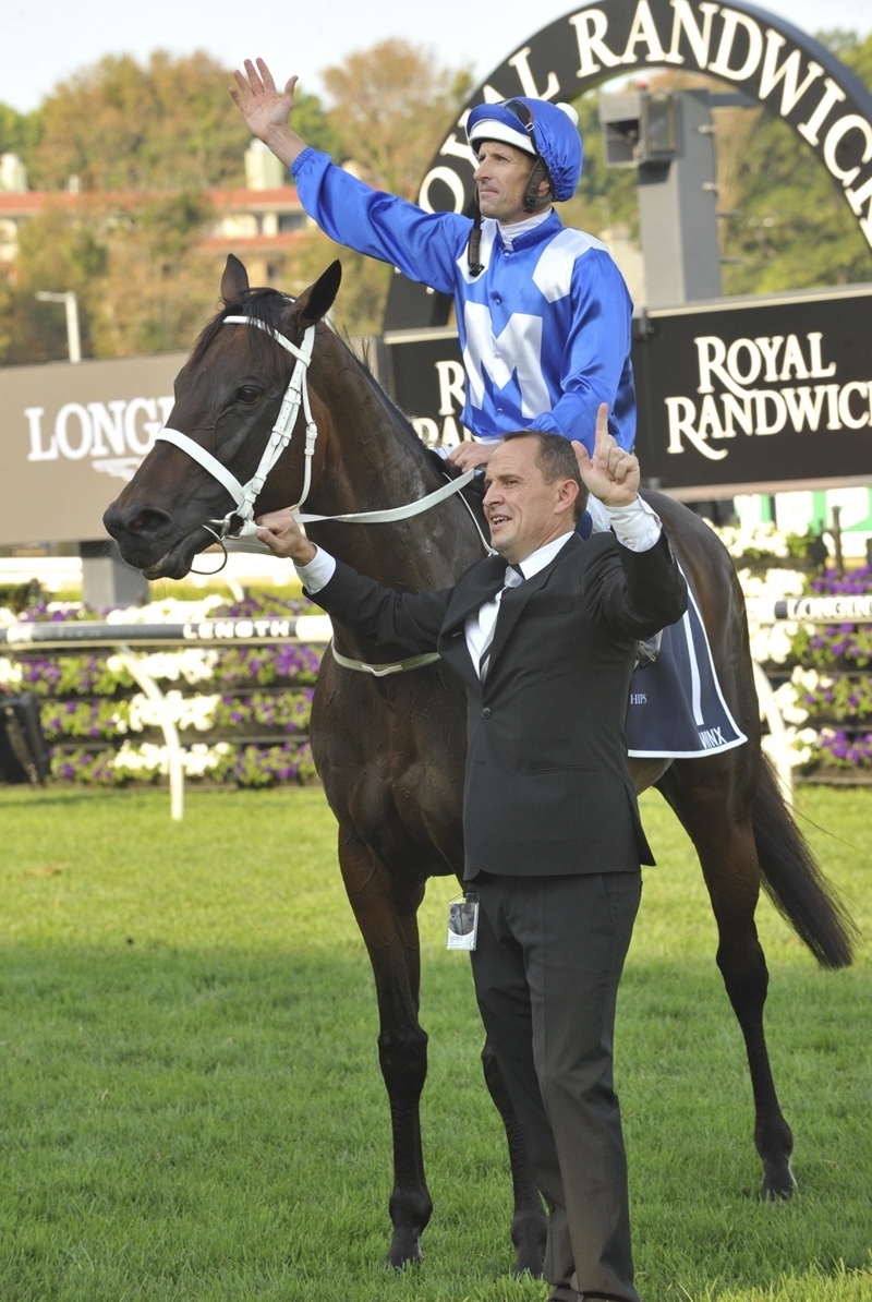 Winx: ‘To win four Cox Plates is a remarkable achievement’. Photo: Photo: ATC / Bradley Photographers