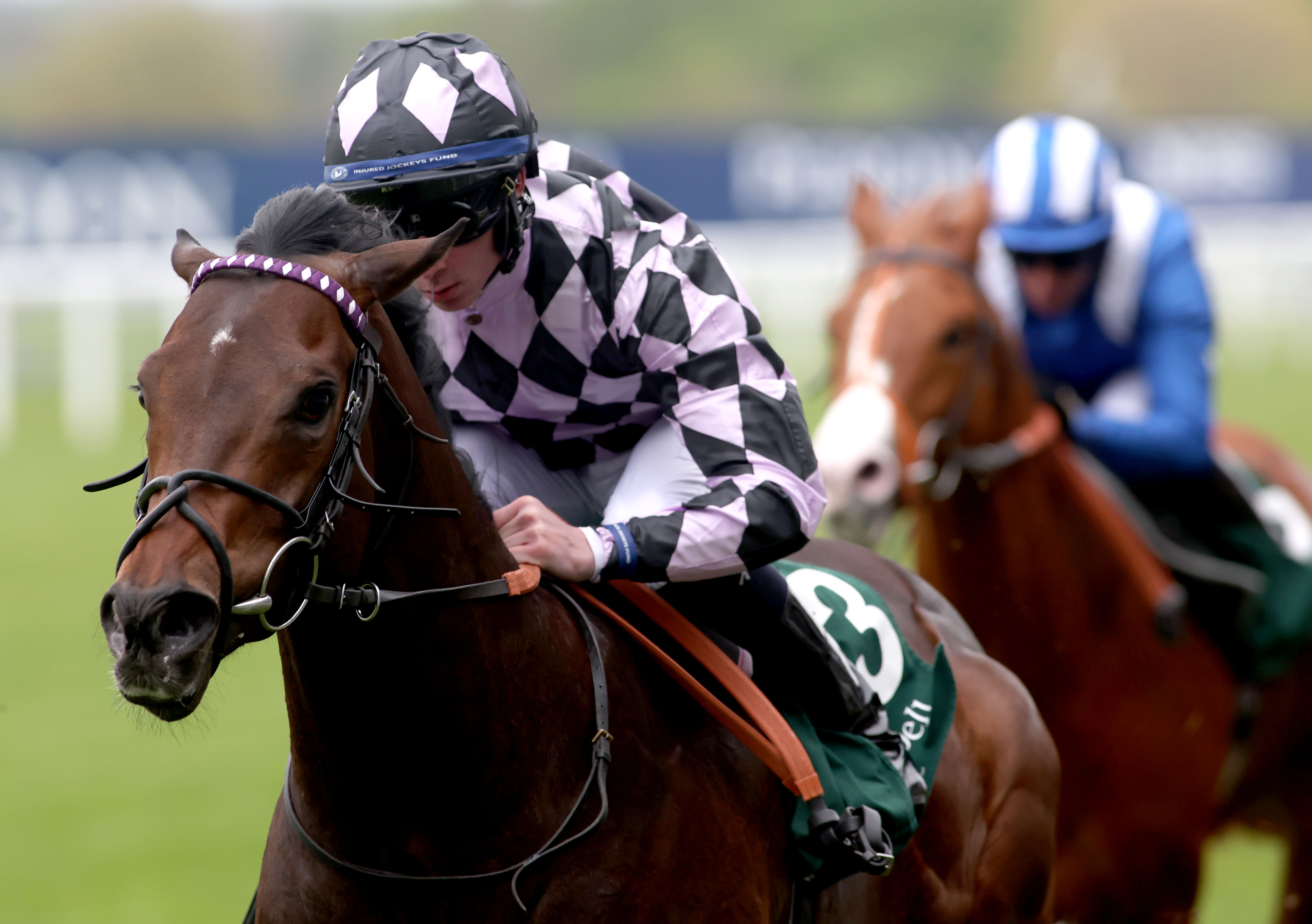 Go Bears Go: hardy Pattern-race sprinter is a £50,000 graduate of the Tattersalls Ireland September Yearling Sale. Photo: Dan Abraham / focusonracing.com