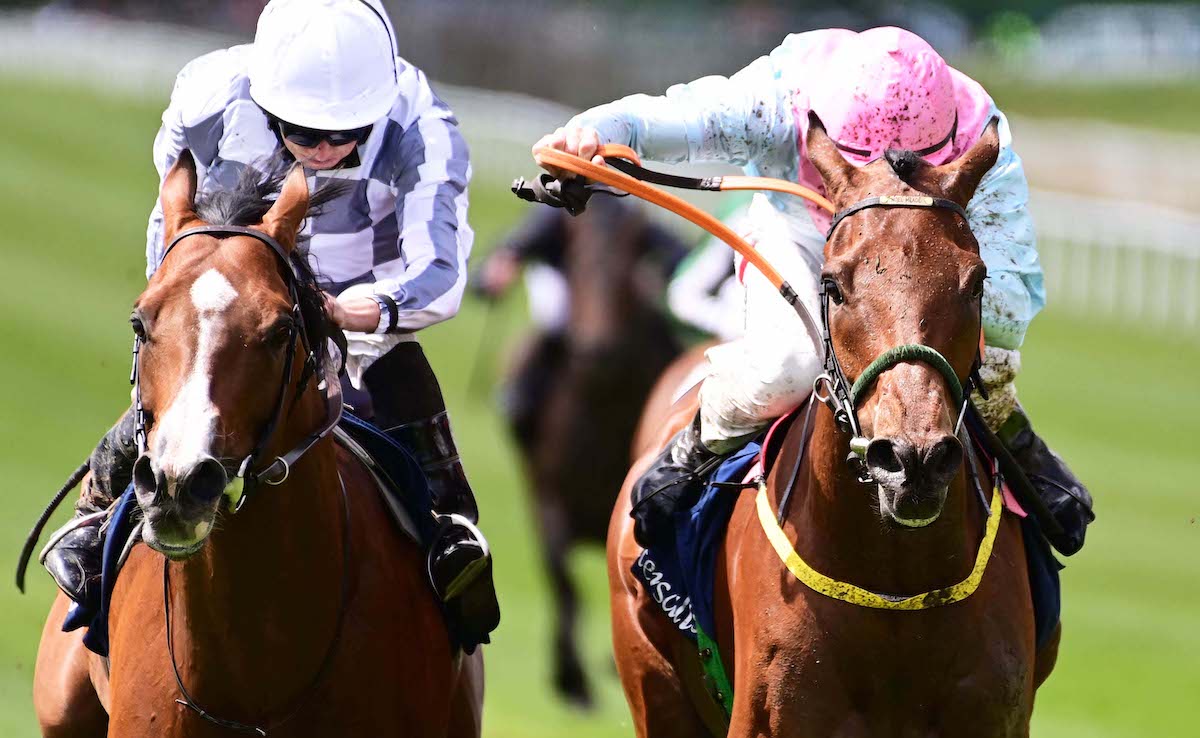 Helvic Dream (Colin Keane, right) narrowly beats Broome for G1 success at the Curragh in the Tattersalls Gold Cup; he was bought for just €18,000 at Tattersalls Ireland. Photo: Pat Healy / focusonracing.com