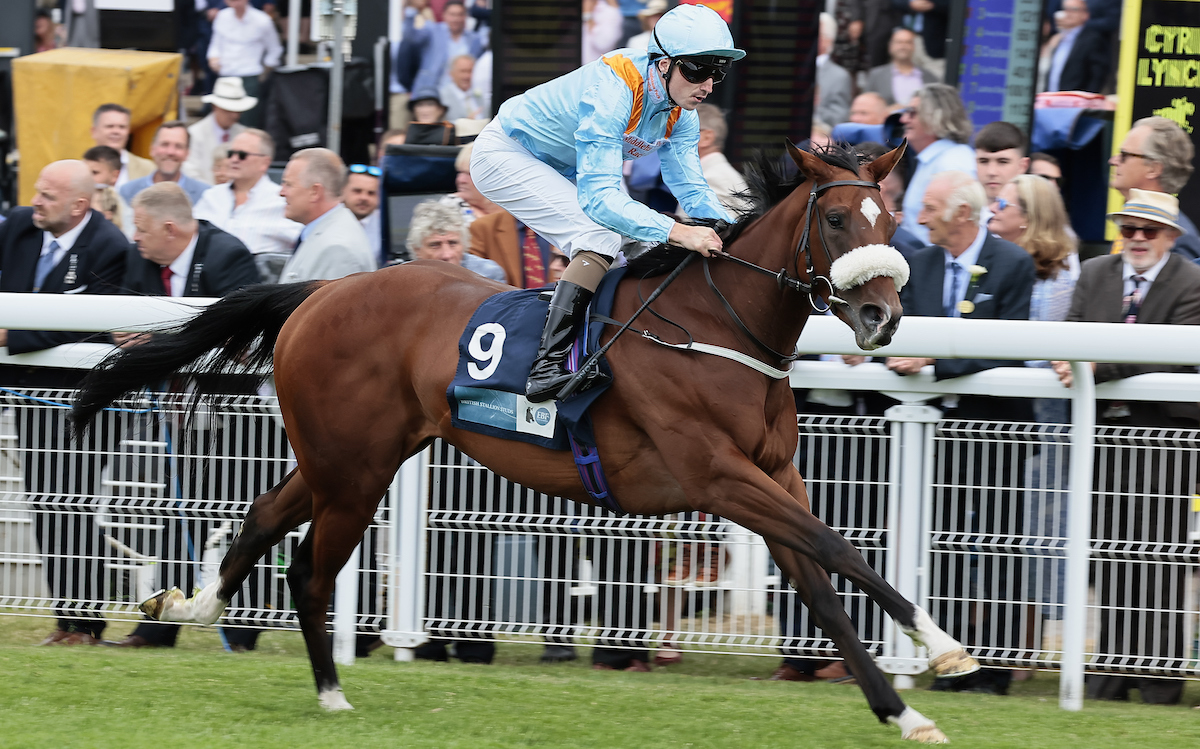 The Platinum Queen: owners Middleham Park have welcomed IRE incentive scheme. Photo: Mark Cranham / focusonracing.com