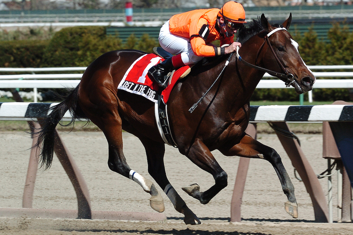 Lost In The Fog took New York by storm to easily win the Bay Shore Stakes at Aqueduct. Photo: Adam Coglianese