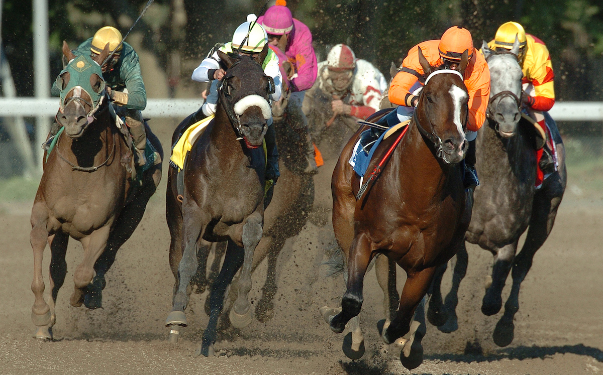 Lost In The Fog leads the best in the east on a merry chase in the King's Bishop Stakes at Saratoga. Photo: Adam Coglianese