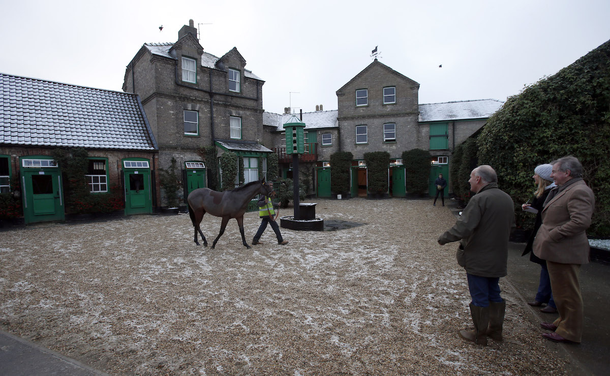 Supervising operations at Heath House: ‘I suppose I’m the headmaster,’ says Sir Mark Prescott. Photo: Photo: Dan Abraham / focusonracing.com