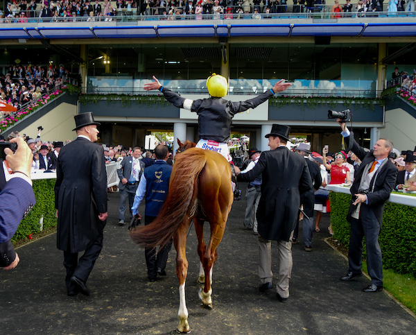 Glory days: Stradivarius and Frankie Dettori led in after winning the Gold Cup at Royal Ascot in 2019. Photo: Mark Cranham / focusonracing.com