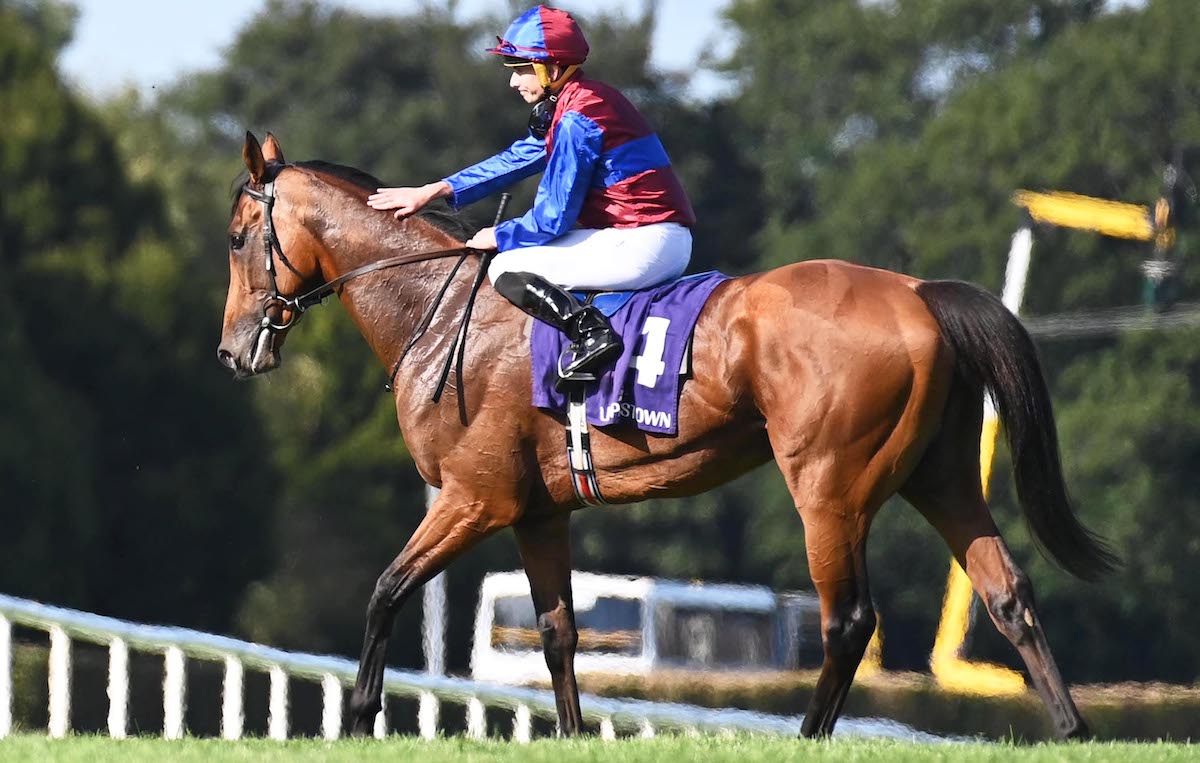 Luxembourg: made favourite for the Arc after winning Irish Champion Stakes under Ryan Moore. Photo: Healy/focusonracing.com