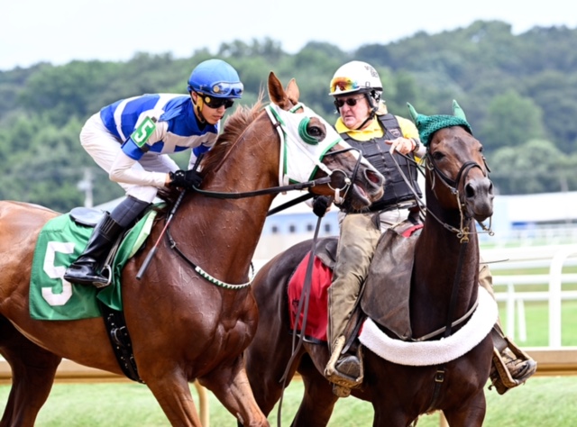 Warming up: Bryson Butterfly with an outrider before a race at Laurel. Photo: Maryland Jockey Club / Jim McCue