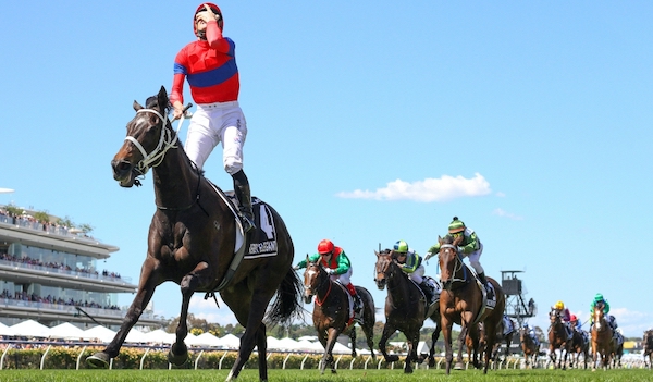 Jewel in the crown: Verry Elleegant (James McDonald) lands a hugely popular victory in last year’s Melbourne Cup. Photo: NZ Racing News/Bruno Cannatelli