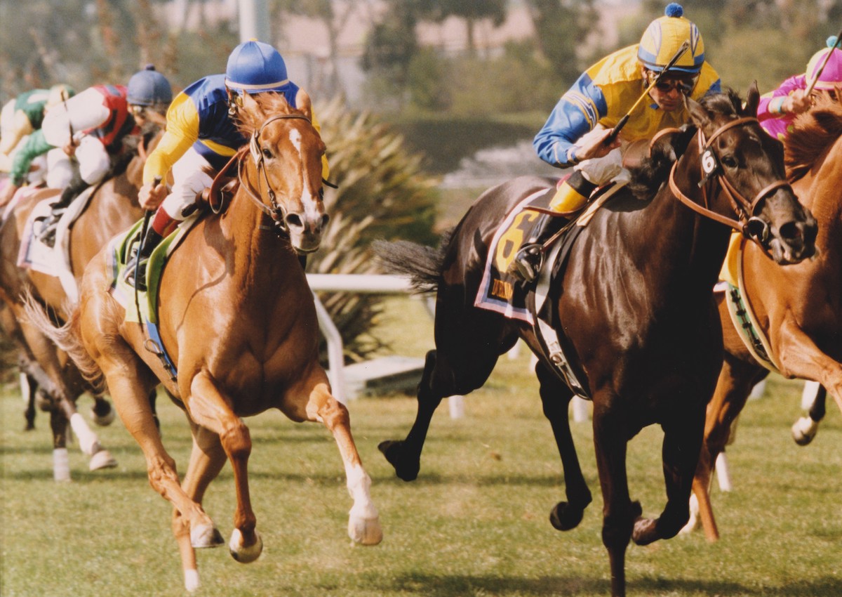 Megahertz and Dublino (right) turned the first running of the American Oaks into an epic duel at Hollywood Park. (Benoit photo)