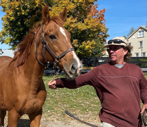 Now 23, Megahertz is part of the Kaz Hill Farm broodmare band in New York, here with their stable hand Geovanni Badilla. Photo courtesy of Kaz Hill Farm