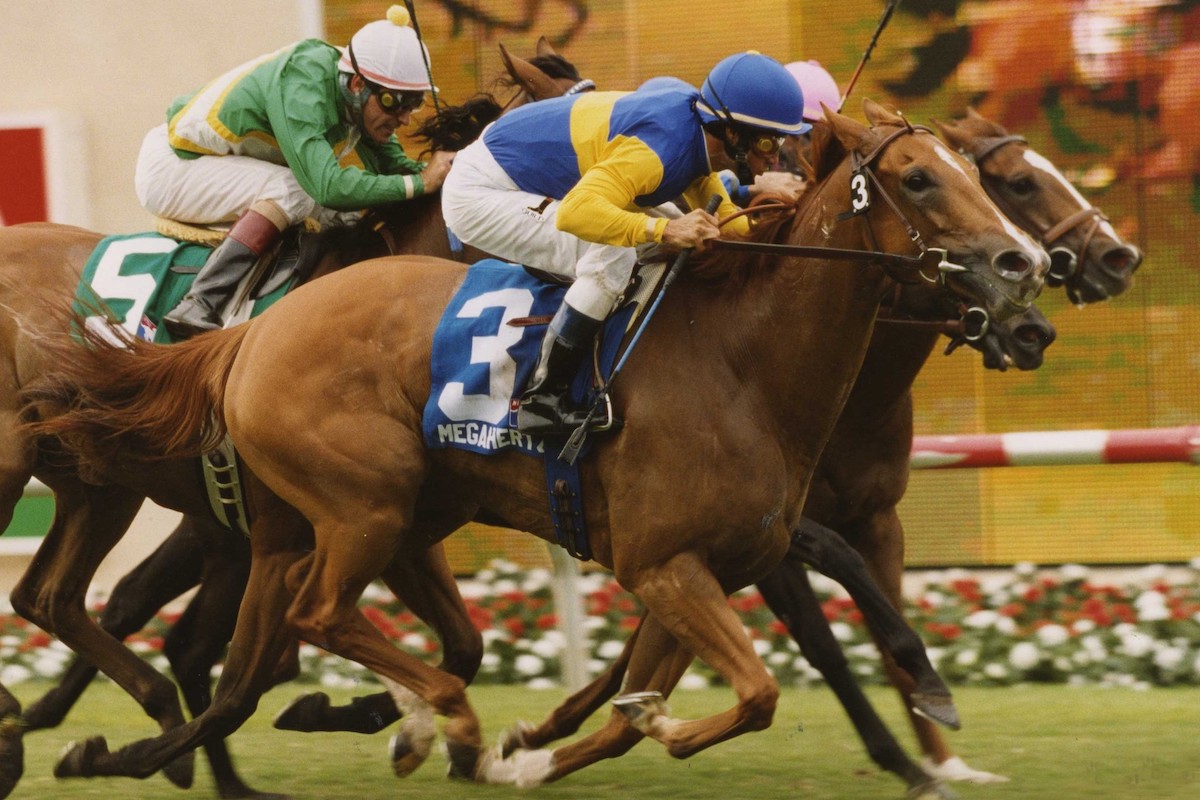 In her most thrilling triumph, Megahertz came out on top of a four-horse finish at the end of Del Mar's G1 John C. Mabee. (Benoit photo)