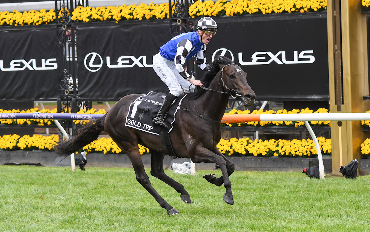 Nation stopper: Gold Trip (Mark Zahra) wins the Melbourne Cup, Photo: Pat Scala / Racing Photos