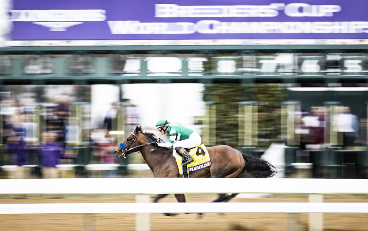 All of a blur: Flightline and Flavien Prat en route to capping an unbeaten six-race career in the Breeders’ Cup Classic. Photo: Matt Wooley / Eclipse Sportswire / Breeders’ Cup