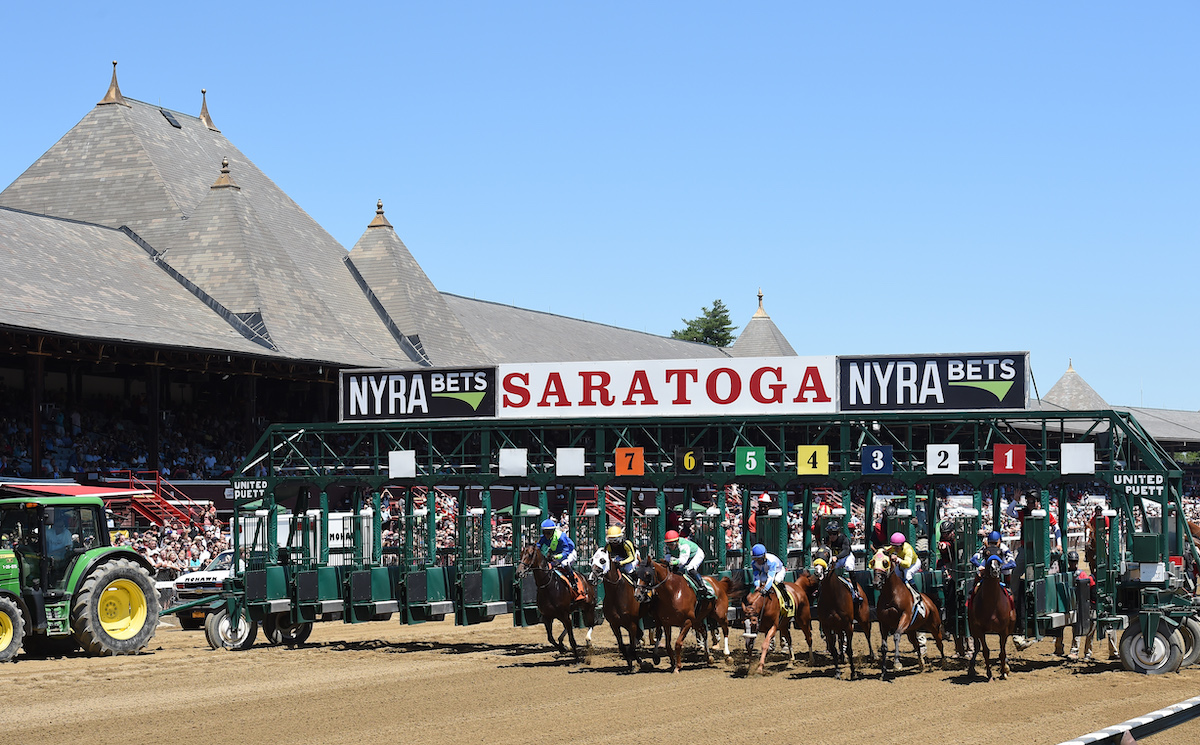 They’re racing at Saratoga: The Mig is by no means alone in naming the New York venue as his favorite racecourse. Photo: NYRA / Coglianese