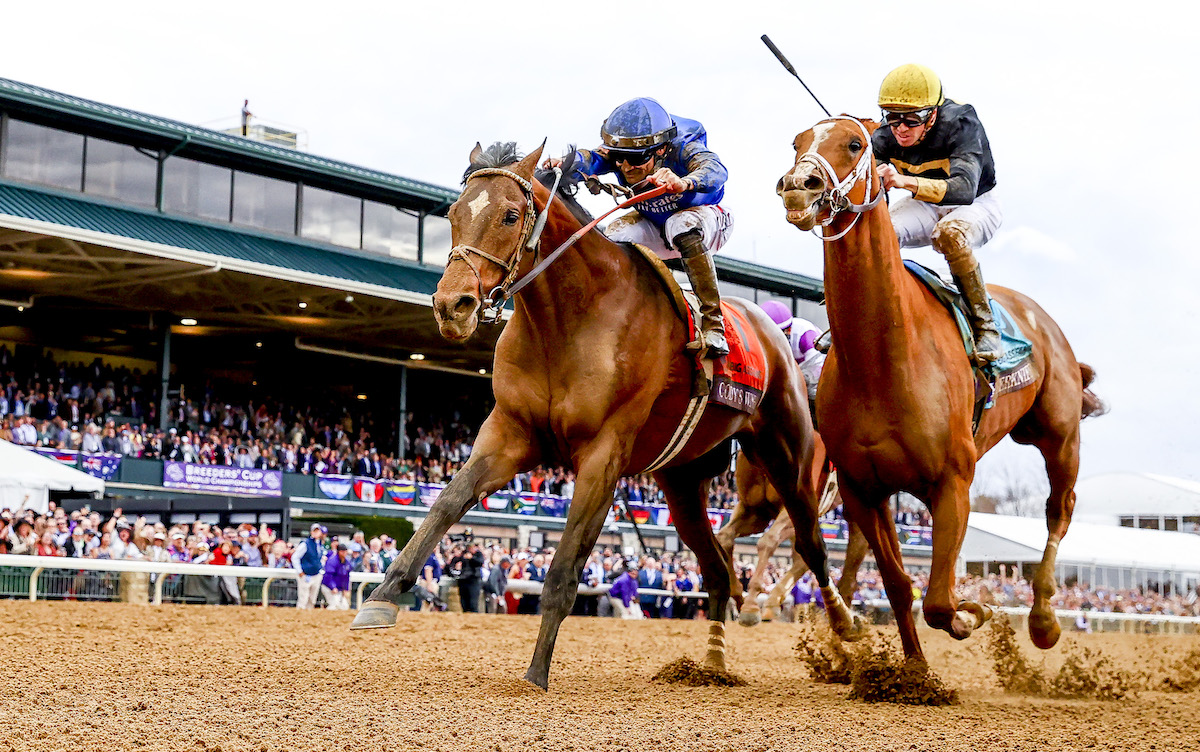 Dream result: Cody’s Wish (left) sticks his head out to better Cyberknife at the Breeders’ Cup. Photo: Alex Evers/Eclipse Sportswire/Breeders Cup /CSM