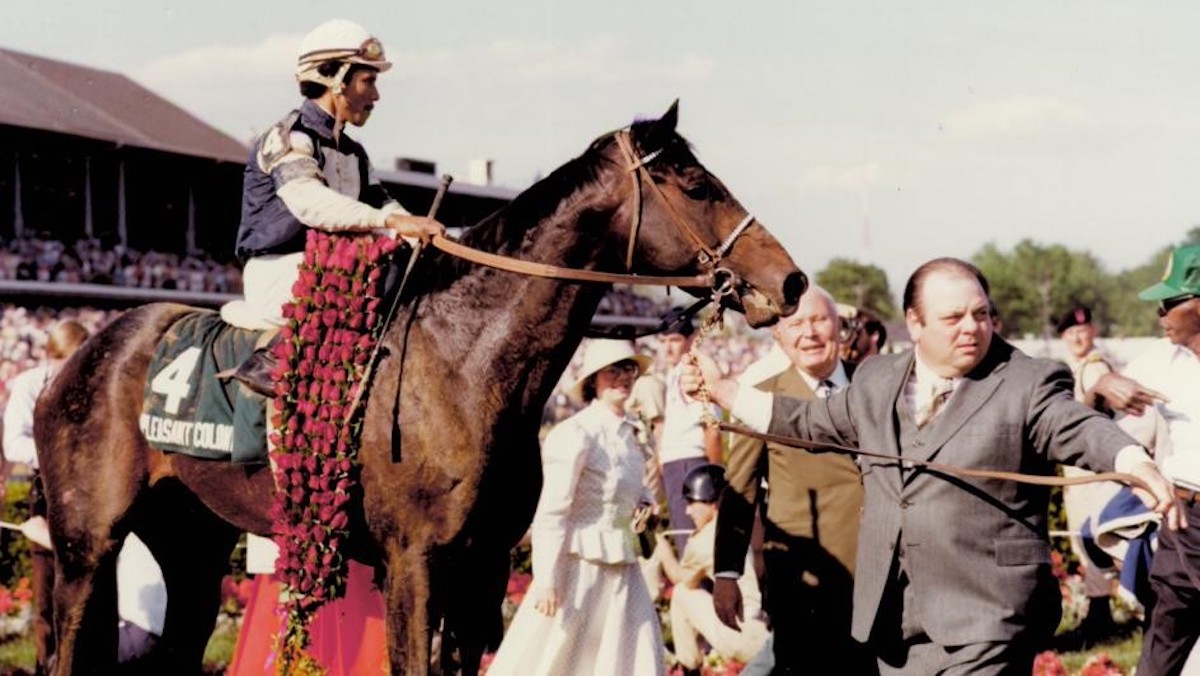 Pleasant Tap could not quite match the Derby triumph of his sire, Pleasant Colony. Photo: Churchill Downs