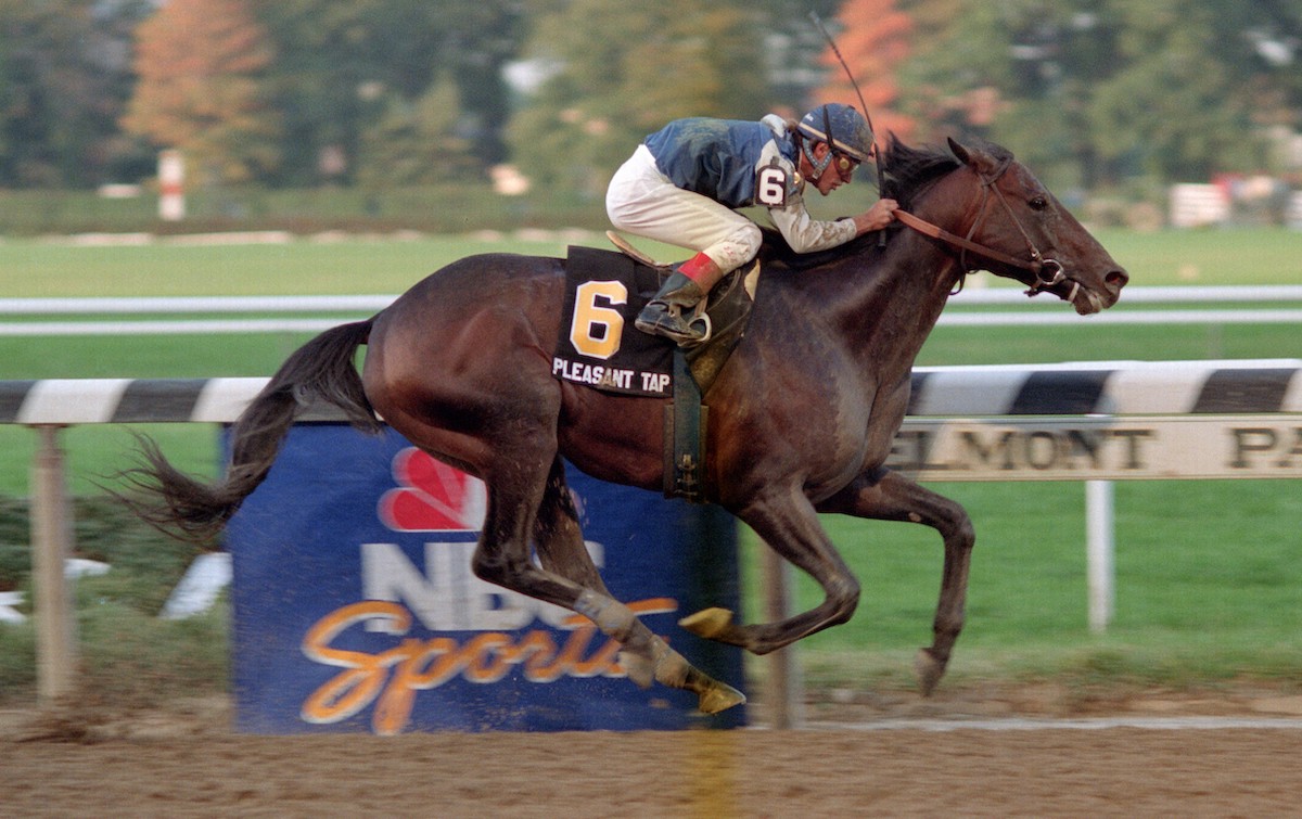 Pleasant Tap's finest hour came in the 1992 Jockey Club Gold Cup, in which he defeated an all-star field in near track record time. Photo: Adam Conglianese