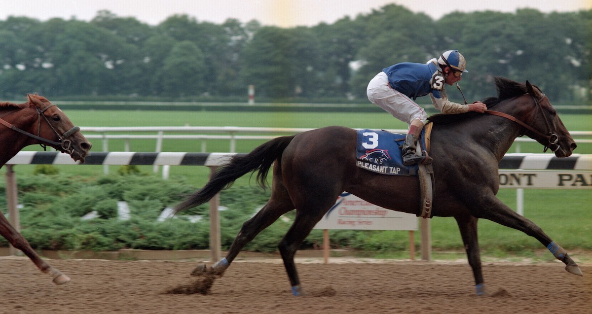 That's Kentucky Derby winner Strike The Gold settling for second behind Pleasant Tap in the historic Suburban Handicap. Photo: Adam Coglianese