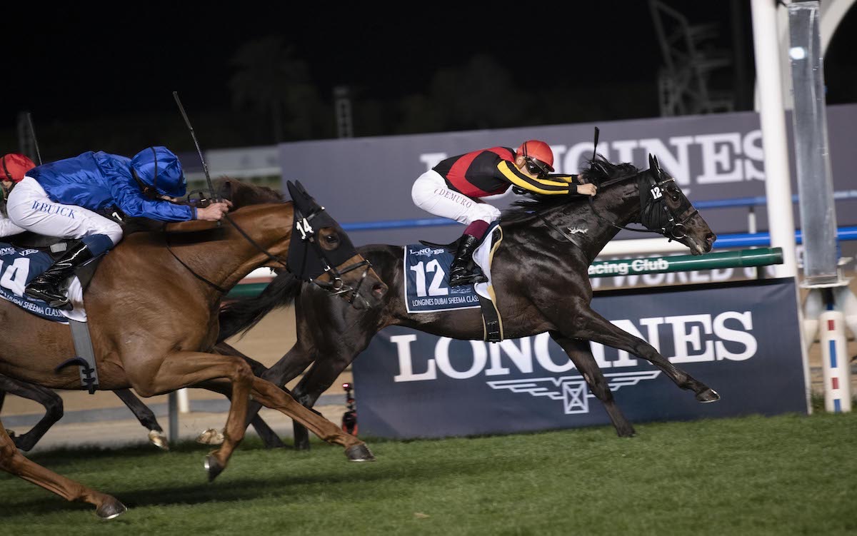 Leading contender: Japan Cup fancy Shahryar beats Breeders’ Cup winner Yibir in the Dubai Sheema Classic. Photo: Dubai Racing Club