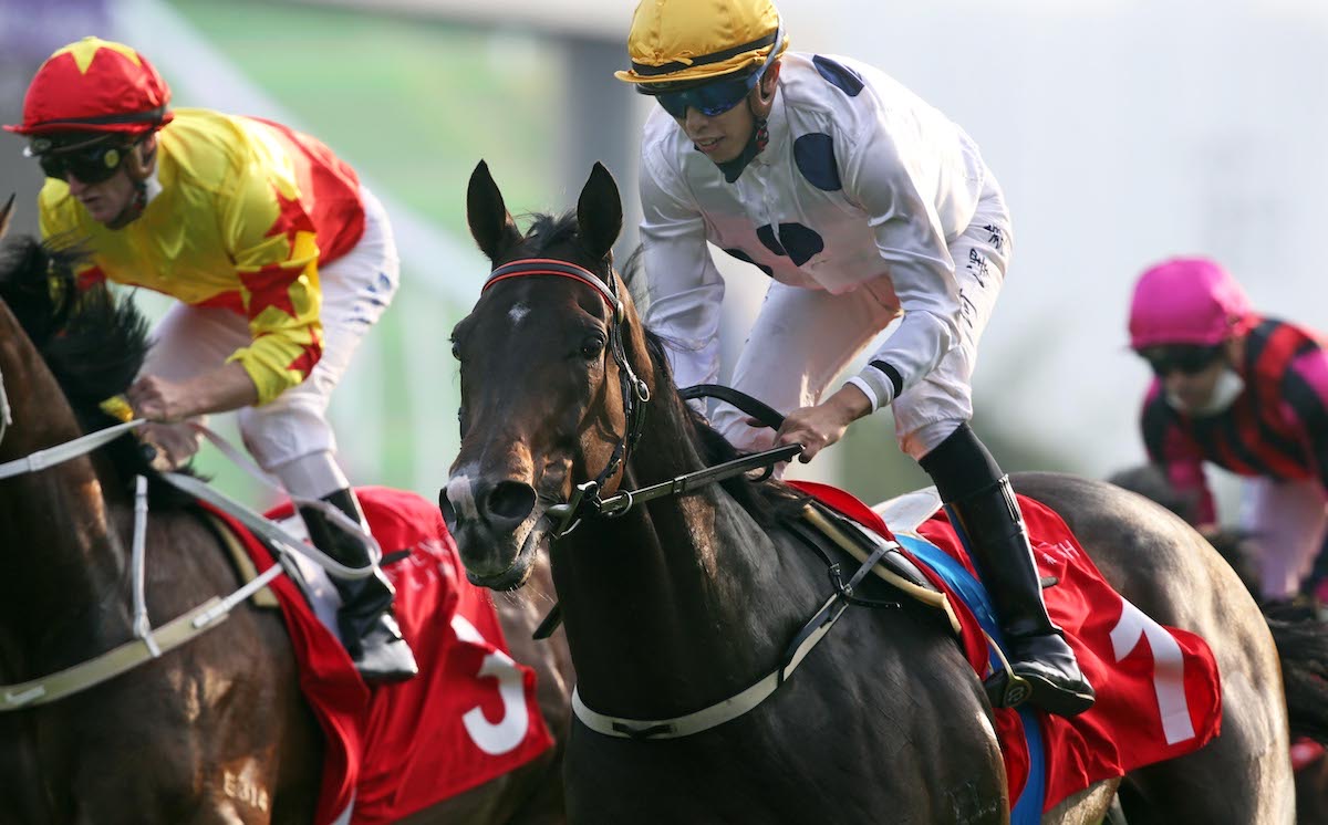 Course and distance: Golden Sixty wins the G2 Jockey Club Mile, his prep race three weeks ago at Sha Tin. Photo: HKJC