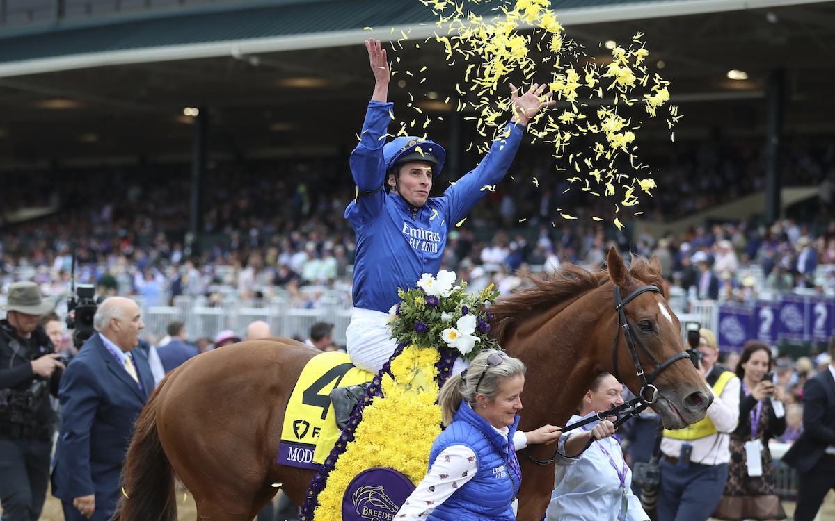 William Buick: five winners altogether at the last two Breeders’ Cup – and a much coveted first jockeys’ championship at home in the UK. Photo: Shamela Hanley / Eclipse Sportswire / Breeders Cup