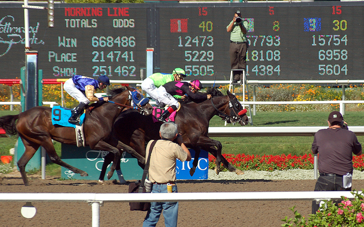 Three-peat: hugely popular Lava Man (Corey Nakatani) noses out A.P. Excellent to complete a Hollywood Gold Cup hat-trick in 2007. Photo: Wikimedia Commons