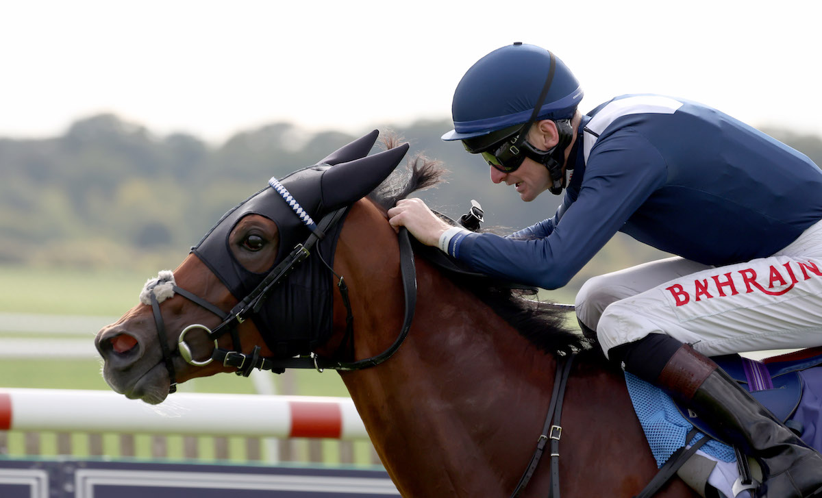 Up close: Robert Havlin and Commissioning en route to winning the G2 Rockfel Stakes at Newmarket in September. Photo: Dan Abraham / focusonracing.com