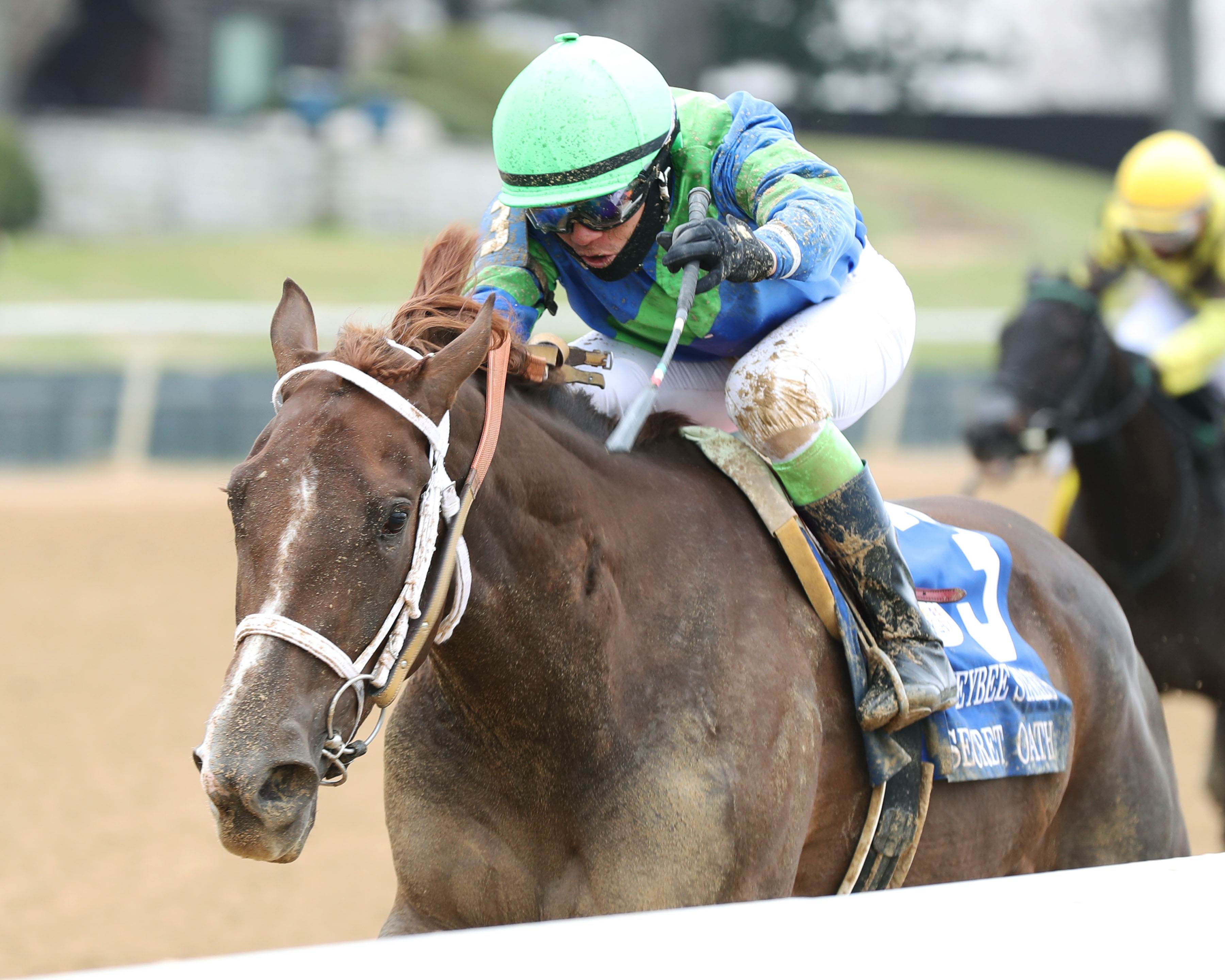 Oaklawn star: Secret Oath (Luis Contreras) wins the G3 Honeybee in February 2022. Photo: Coady Photography