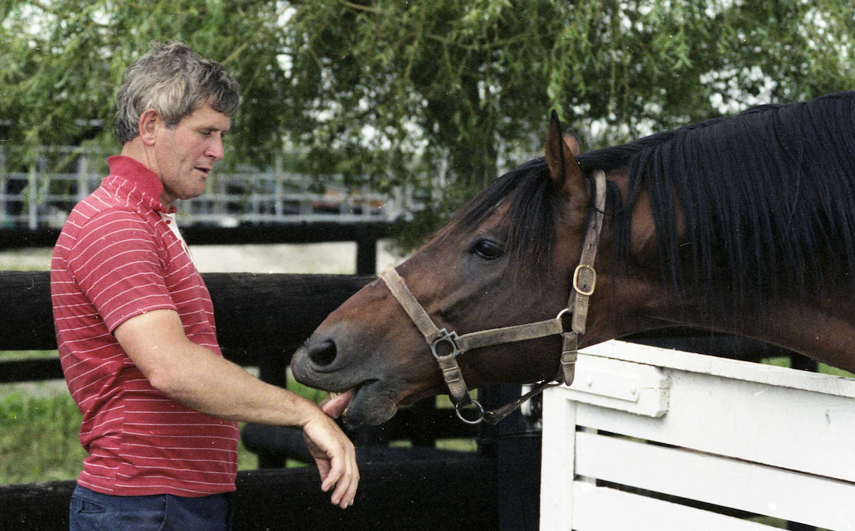 Foundation stallion: Sir Patrick Hogan with legendary sire Sir Tristram – a modest racehorse but a shaper of the breed at stud. Photo: Race Images PN