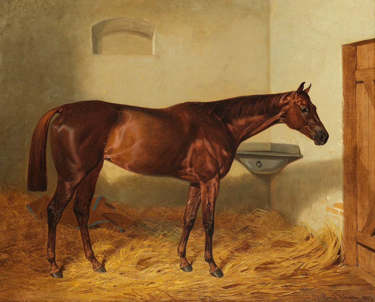 Kincsem: pictured here in a portrait by Emil Adam, the legendary Hungarian mare raced three times in Prague. Image: WikiCommons