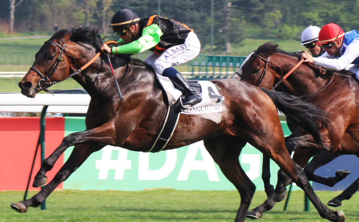 Star performer: Czech-trained Nagano Gold wins a Listed race at ParisLongchamp under Olivier Peslier in April 2019. Photo: focusonracing.com