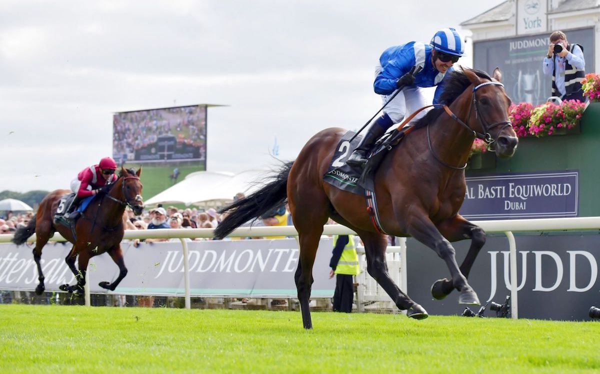 Baaeed (Jim Crowley) steps up to a mile and a quarter for a 6½-length victory in the Juddmonte International at York. Photo: racingfotos.com for IFHA