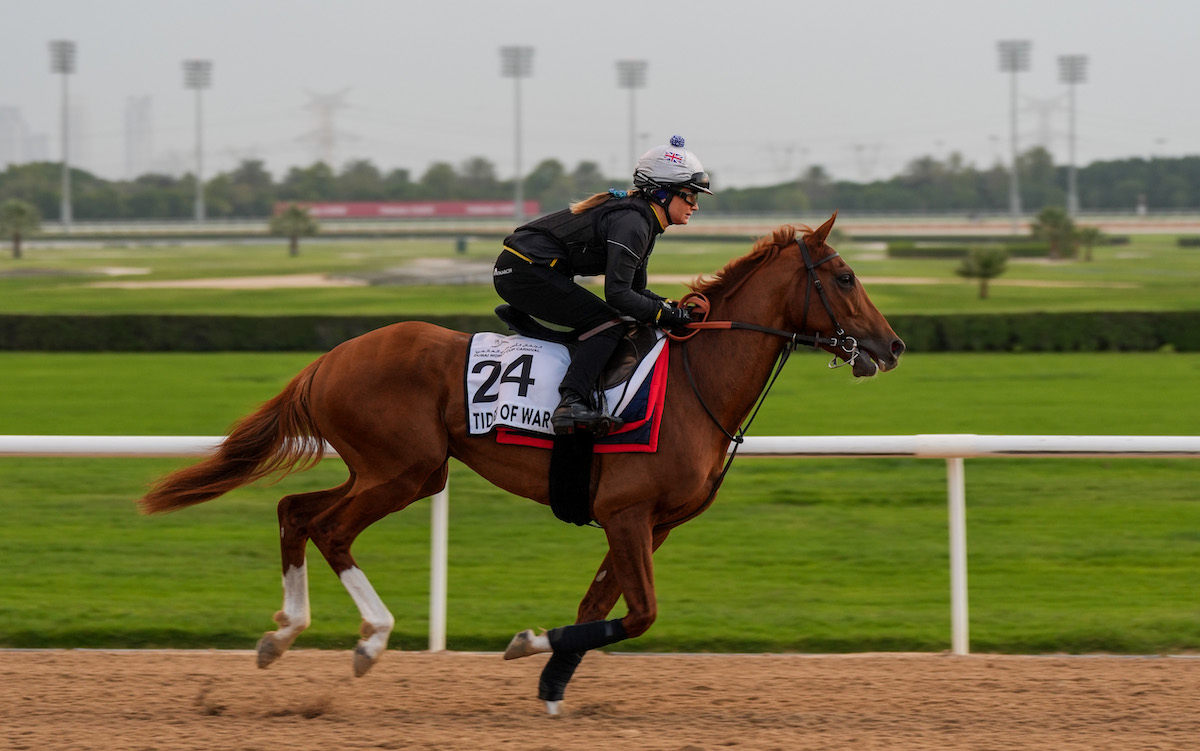 Meydan morning: Katy Reed in her role as exercise rider aboard Tides Of War for trainer David Simcock at the Dubai Carnival. Photo: Dubai Racing Club