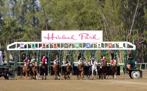 They’re off at Hialeah. Or at least, they used to be. Photo: Hialeah Park