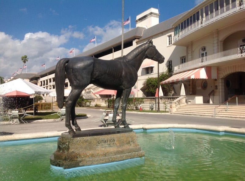 Triple Crown hero: Citation, who won the Flamingo Stakes in 1948, was immortalised in a statue imported from Italy. Photo: Florida Memory (public domain)