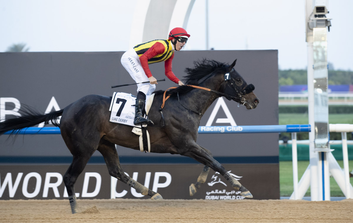 Japanese-trained Crown Pride earned a spot in last year’s Kentucky Derby by winning the UAE Derby; he was 13th at Churchill Downs. Photo: Dubai Racing Club