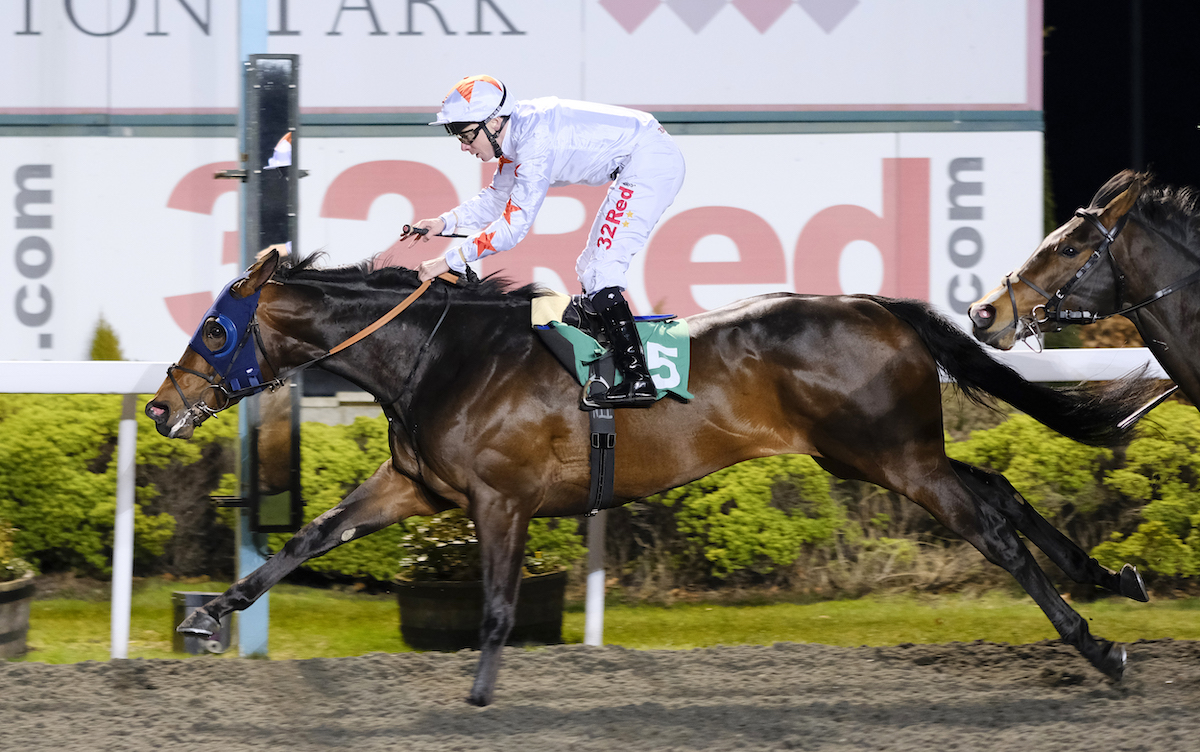 Gronkowski won a Kentucky Derby points race at Kempton in the UK in March 2018; he did not run at Churchill Downs. Photo: John Hoy / focusonracing.com
