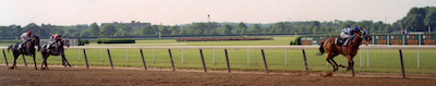 Riva Ridge: Secretariat’s dual Classic-winning predecessor at Meadow Stable still holds two track records. Photo: NYRA/Coglianese