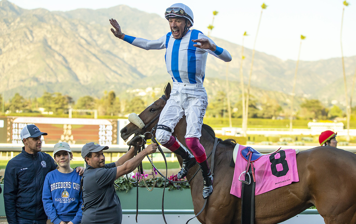 Flying dismount: Frankie Dettori in acrobatic mode after completing his four-timer on Freedom Flyer. Photo: Benoit