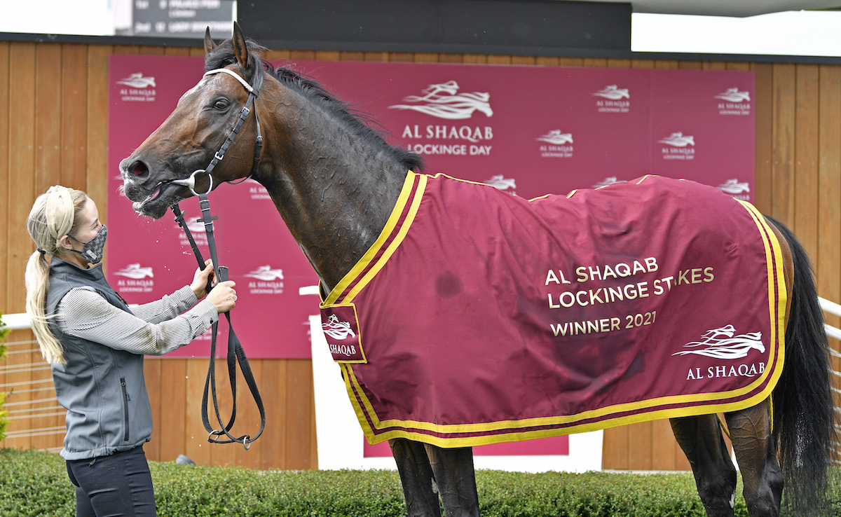 Palace Pier with groom Maisie Hainey after winning the Al Shaqab Lockinge Stakes at Newbury in May 2021. Photo: Francesca Altoft focusonracing.com