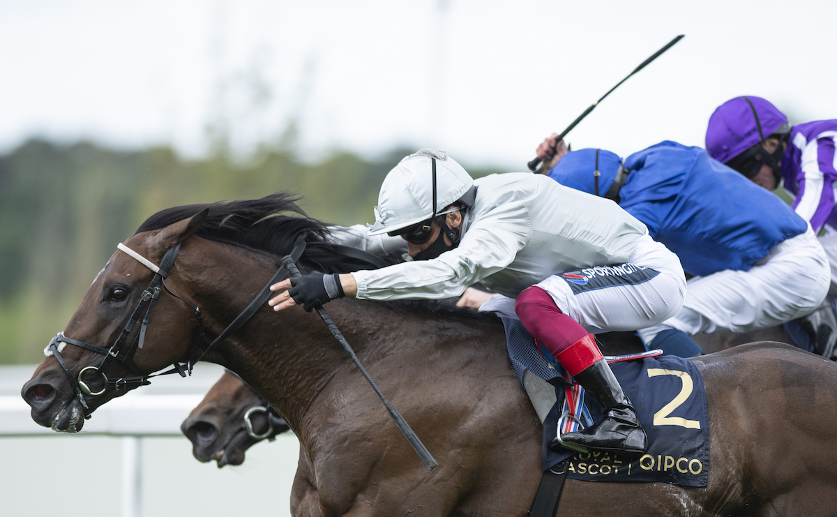 Royal Ascot success: Palace Pier (Frankie Dettori, near side) beats Pinatubo and Wichita to win the St James's Palace Stakes as a three-year-old in 2020. Photo: Edward Whitaker (Racing Post)/focusonracing.com