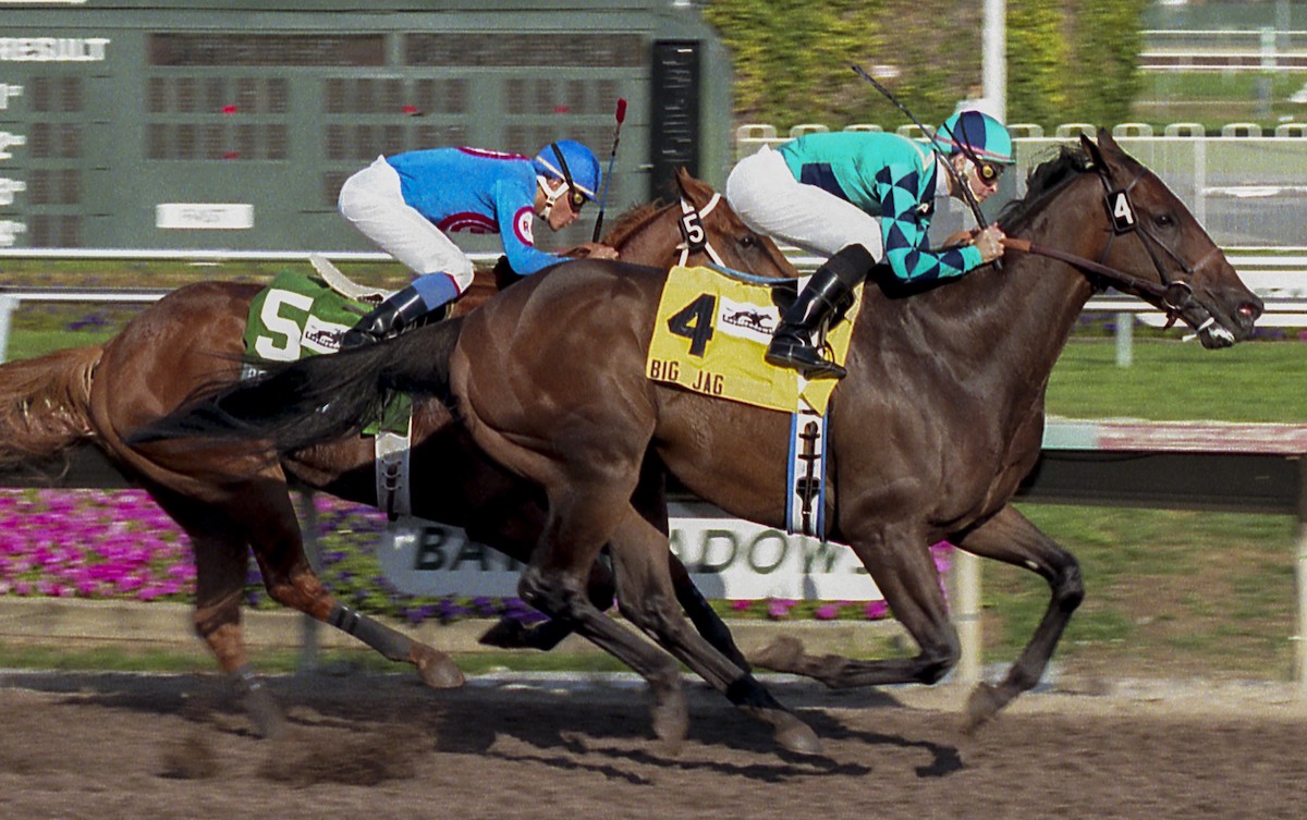 The ambitious Peach Flat got seven pounds in the 1999 California Sprint Championship and still ended up in Big Jag's shadow. Photo: Bill Vassar