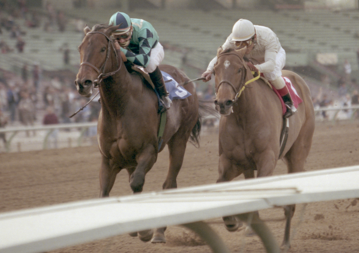 Battling like heavyweights, Big Jag (left) takes a tough decision from Kona Gold in the 1999 Palos Verdes Handicap at Santa Anita. Photo: Benoit