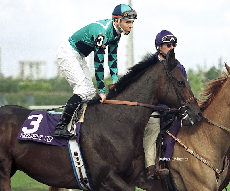 Big Jag and Jose Valdivia go postward in the 1999 Breeders' Cup Sprint at Gulfstream Park. Photo: Barbara Livingston