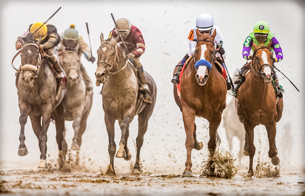 Typically head-on: Justify (blue shadow roll) wins the 2018 Preakness in the fog at a sloppy Pimlico. Photo: Wendy Wooley / EquiSport Photos