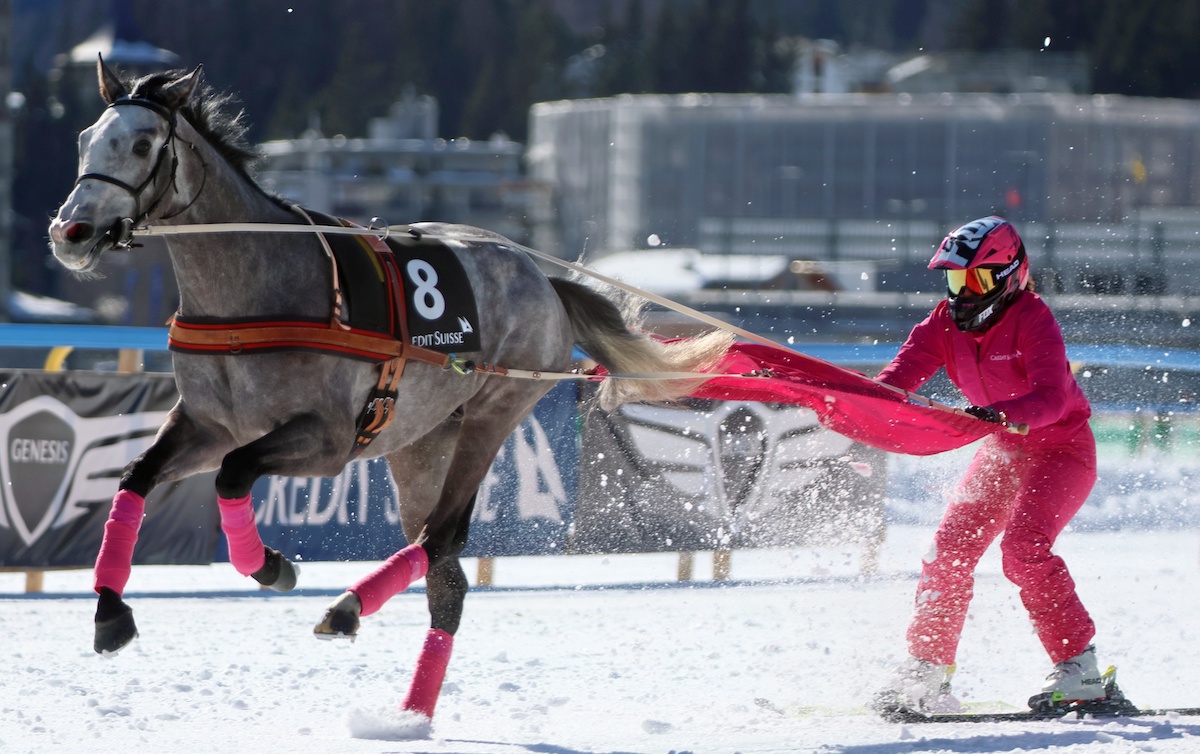 Unique attraction: skikjoring – think water-skiing, but with a horse instead of a speedboat. Photo: swiss-image/AndyMettler