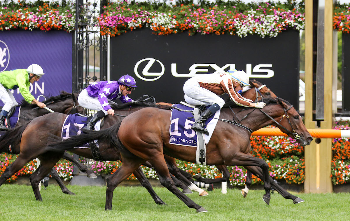 Legarto (near side, Mick Dee) winning the G1 Australian Guineas at Flemington on Saturday to take her career record to six out of seven. Photo: Bruno Cannatelli