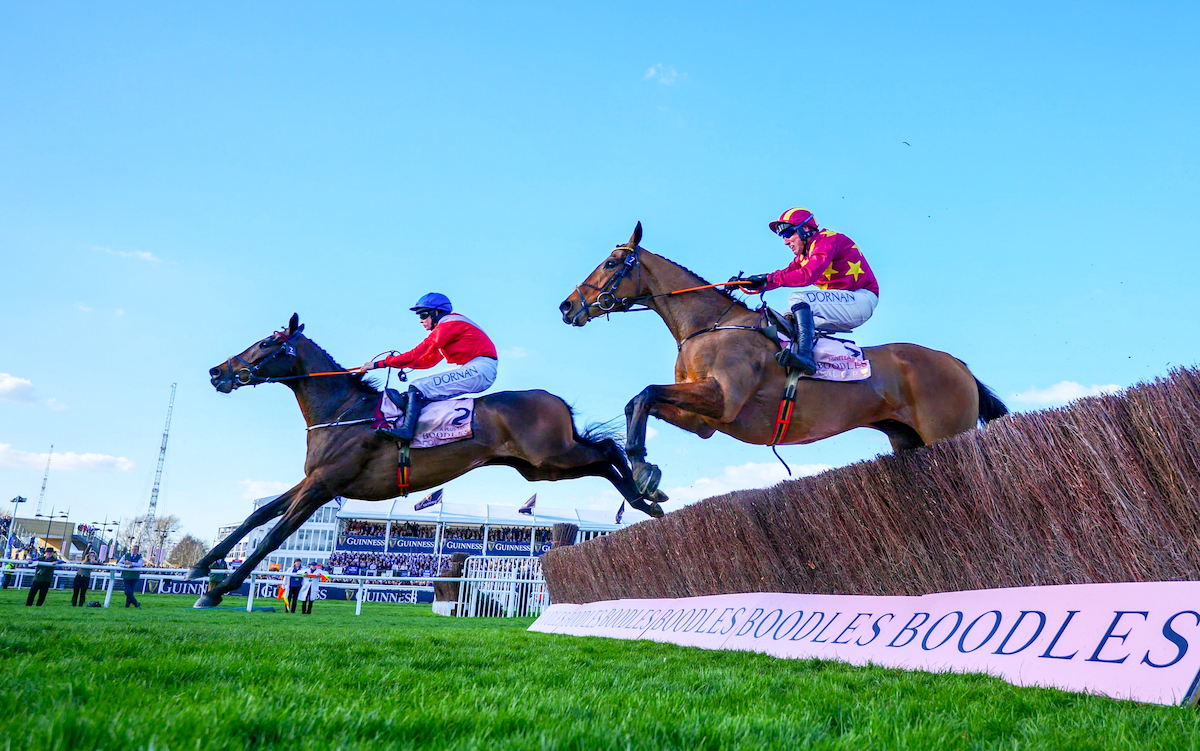 A Plus Tard (Rachael Blackmore) leads over the last en route to victory in the 2022 Cheltenham Gold Cup. Photo: Mark Cranham/focusonracing.com